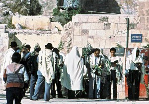Hoshana Rabbah 1 Men praying near the Kotel in Jerusalem on Hoshana Rabbah These men are holding aravot (bundles of willow twigs)