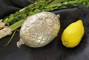 The 4 Species 3 An etrog with a protective case in which to transport and store it. Protective cases for etrogs are available in a variety of designs and materials.