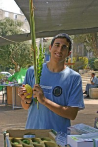 Sukkot 4 A man at an Israeli street stall deciding which lulav set to buy. (Photo reproduced here with the kind permission of Alex Ringer, Israel.)
