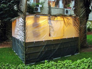 Sukkot 2 A typical modern-day sukkah in the back yard of a home.