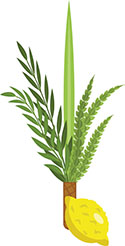 Sukkot Explained for Kids 3