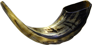 The Shofar 1
