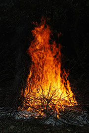Lag baOmer 1